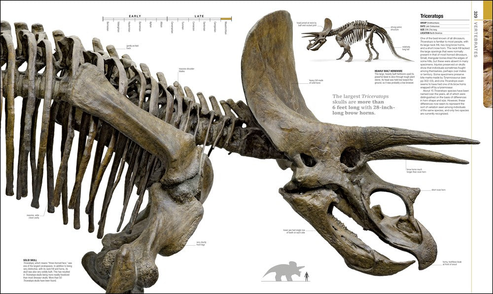 Dinosaurs and Prehistoric Life: The Definitive Visual Guide to Prehistoric Animals (DK Definitive Visual Encyclopedias)