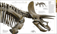 Dinosaurs and Prehistoric Life: The Definitive Visual Guide to Prehistoric Animals (DK Definitive Visual Encyclopedias)