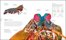 Zoology: Inside the Secret World of Animals (DK Secret World Encyclopedias)