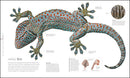 Zoology: Inside the Secret World of Animals (DK Secret World Encyclopedias)
