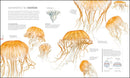 Zoology: Inside the Secret World of Animals (DK Secret World Encyclopedias)