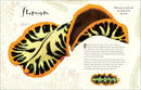 The Wonders of Nature (DK Children's Anthologies)
