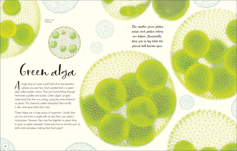 The Wonders of Nature (DK Children's Anthologies)