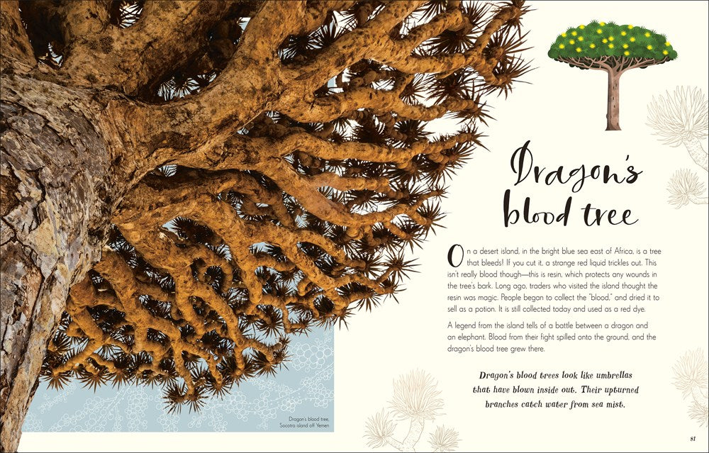 The Wonders of Nature (DK Children's Anthologies)