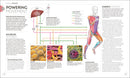Science of Running: Analyze your Technique, Prevent Injury, Revolutionize your Training (The Science of Fitness)