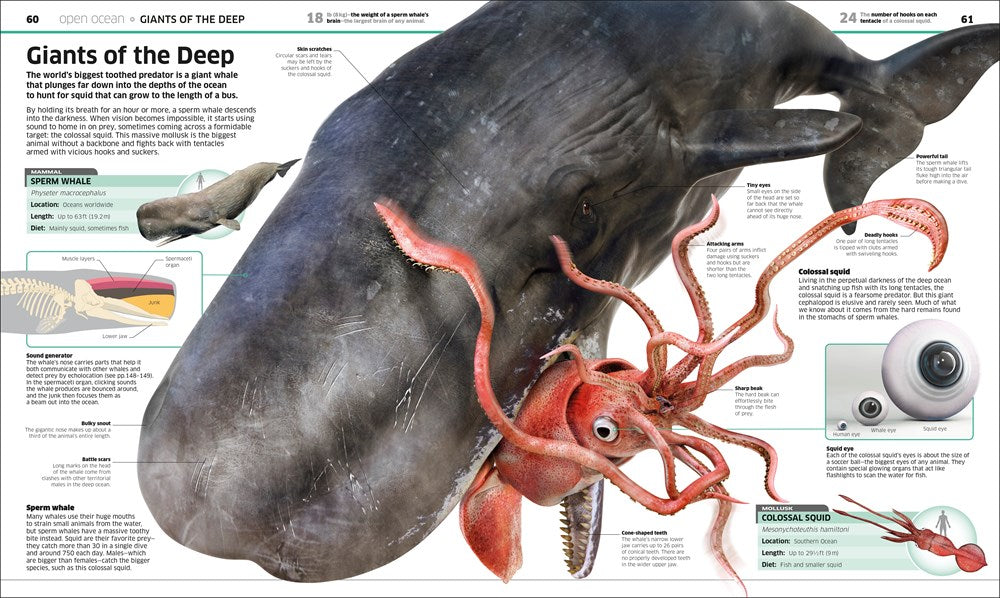 Knowledge Encyclopedia Ocean!