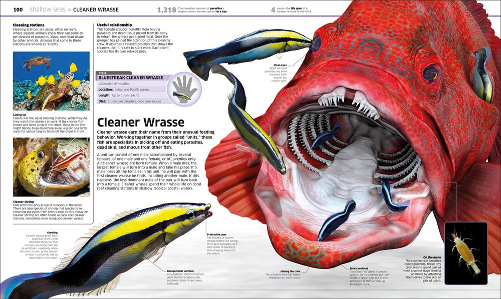 Knowledge Encyclopedia Ocean!