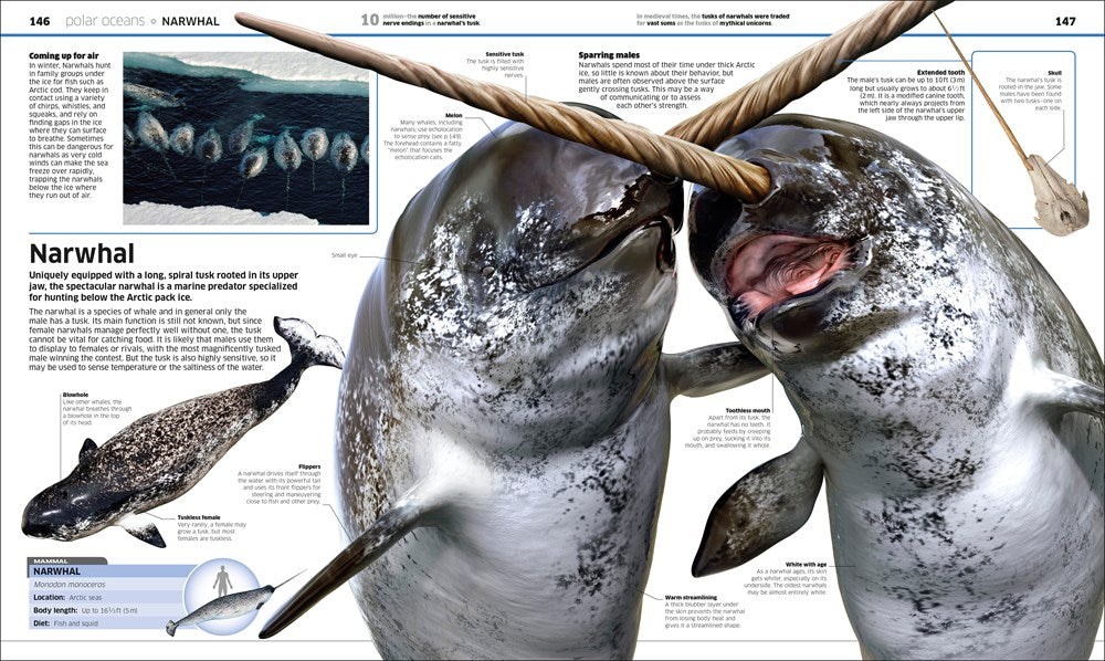 Knowledge Encyclopedia Ocean!