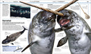 Knowledge Encyclopedia Ocean!