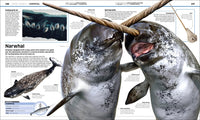 Knowledge Encyclopedia Ocean!