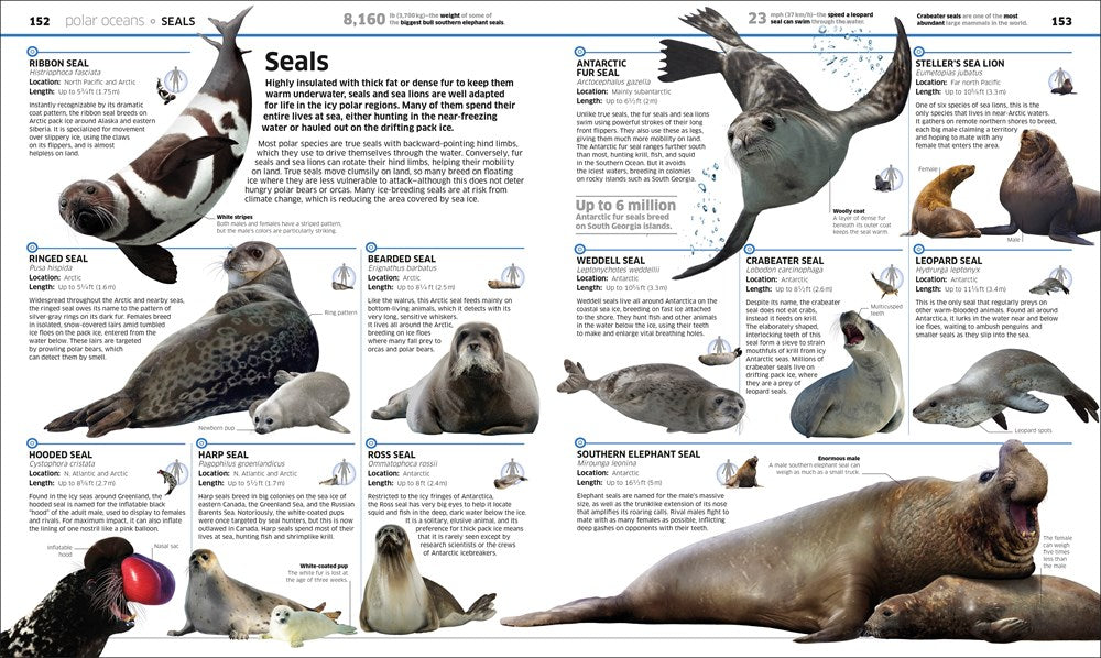 Knowledge Encyclopedia Ocean!