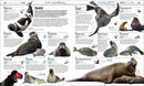 Knowledge Encyclopedia Ocean!