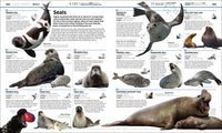 Knowledge Encyclopedia Ocean!