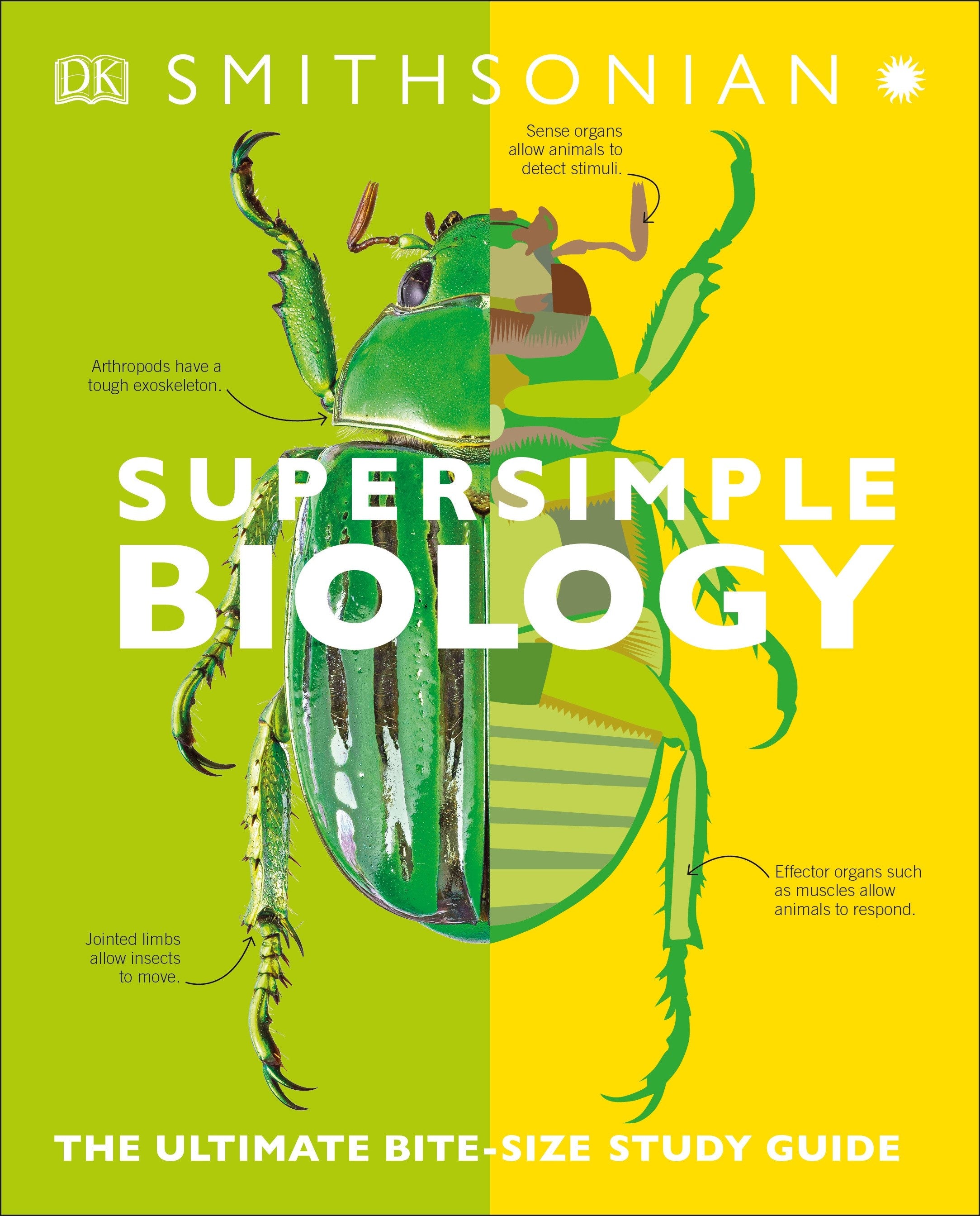 Super Simple Biology: The Ultimate Bitesize Study Guide