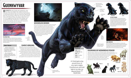 Dungeons and Dragons The Legend of Drizzt Visual Dictionary