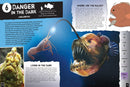 Creatures of the Deep