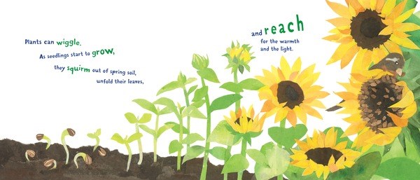 Plants Can't Sit Still