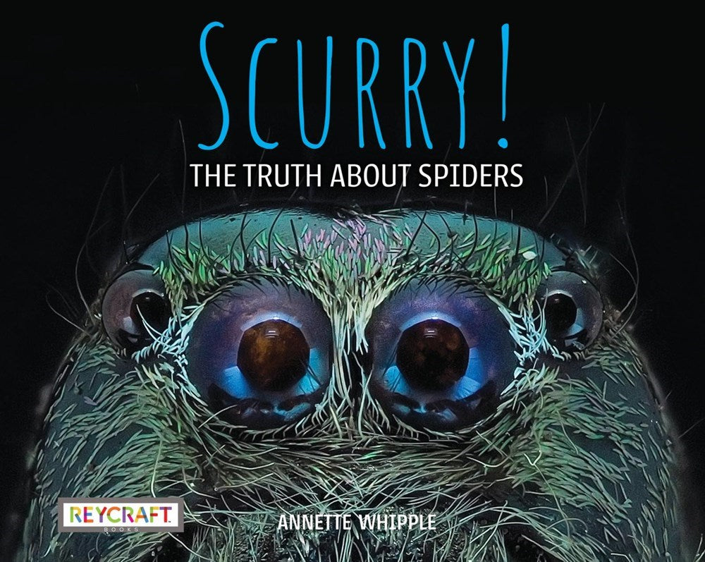 Scurry! The Truth About Spiders