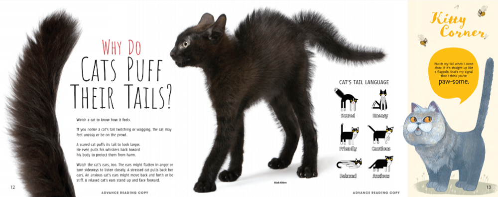 Meow! The Truth About Cats