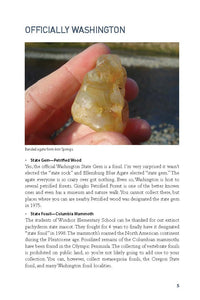 Rockhounding Washington