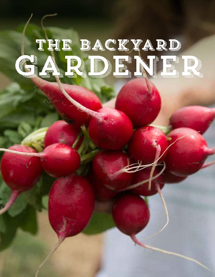 The Backyard Gardener