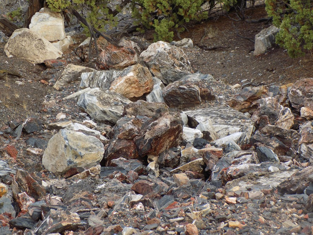 Rockhounding Nevada