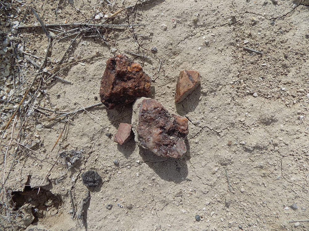 Rockhounding Nevada