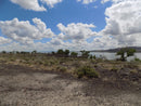 Rockhounding Nevada