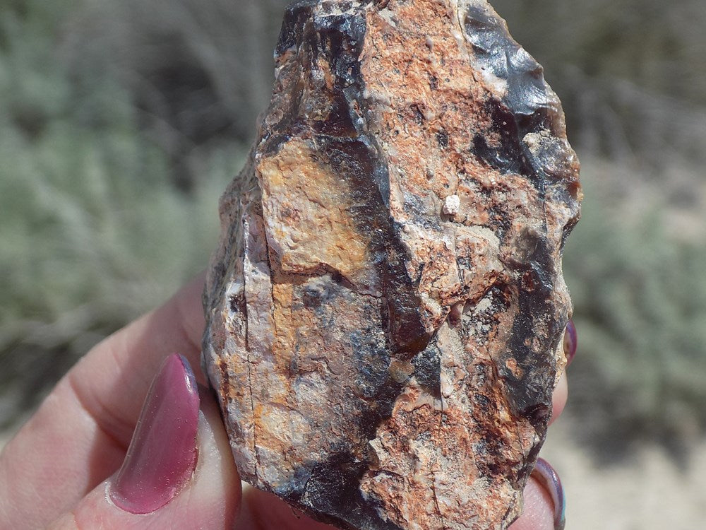 Rockhounding Nevada