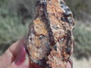 Rockhounding Nevada