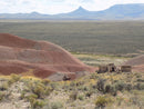 Rockhounding Nevada