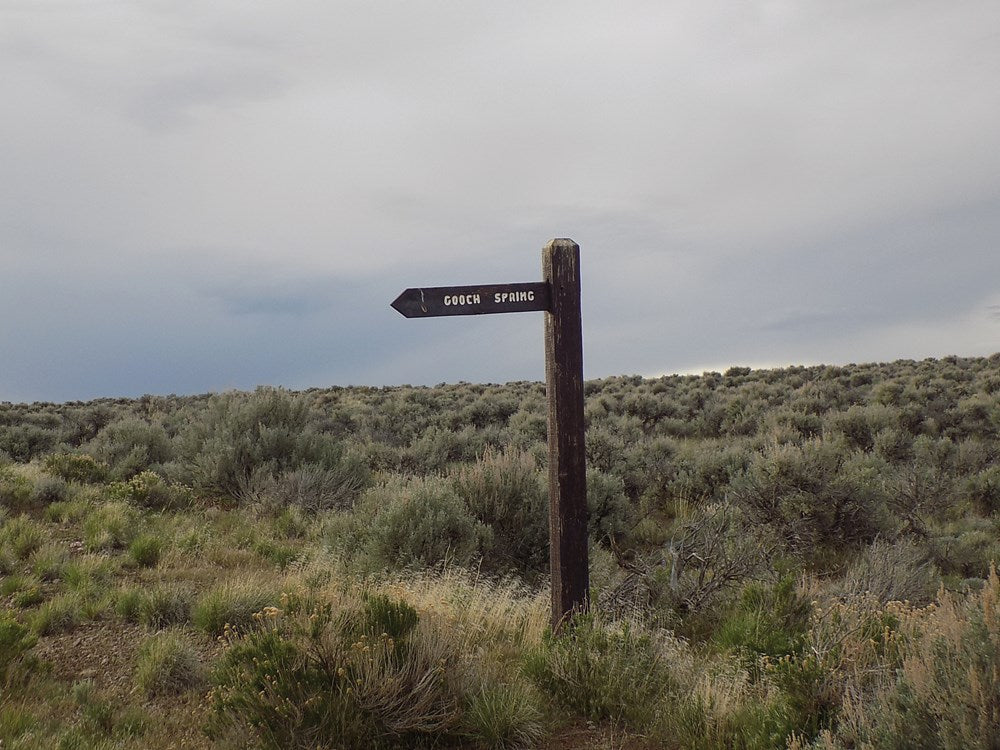 Rockhounding Nevada