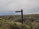 Rockhounding Nevada