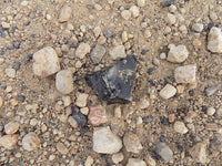 Rockhounding Nevada