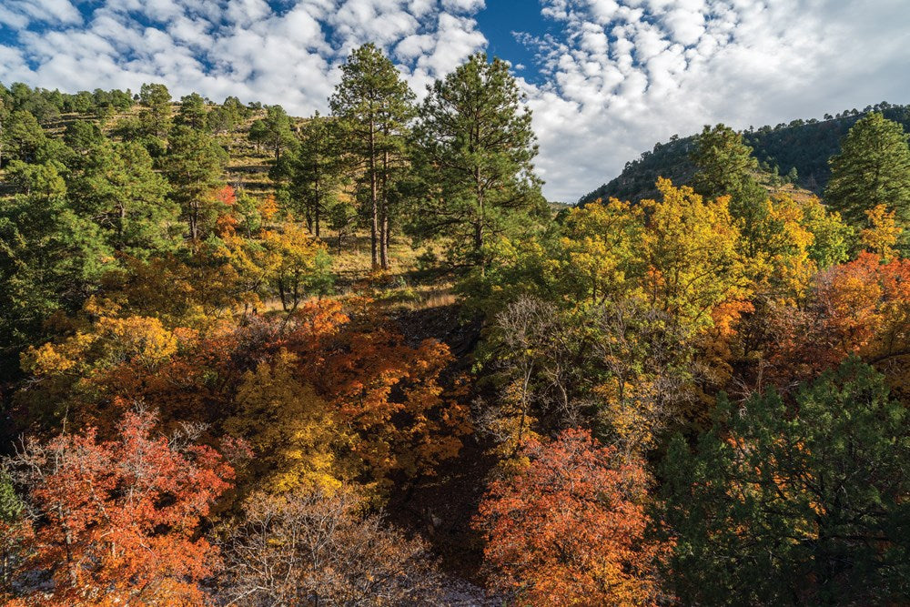 Hiking Texas
