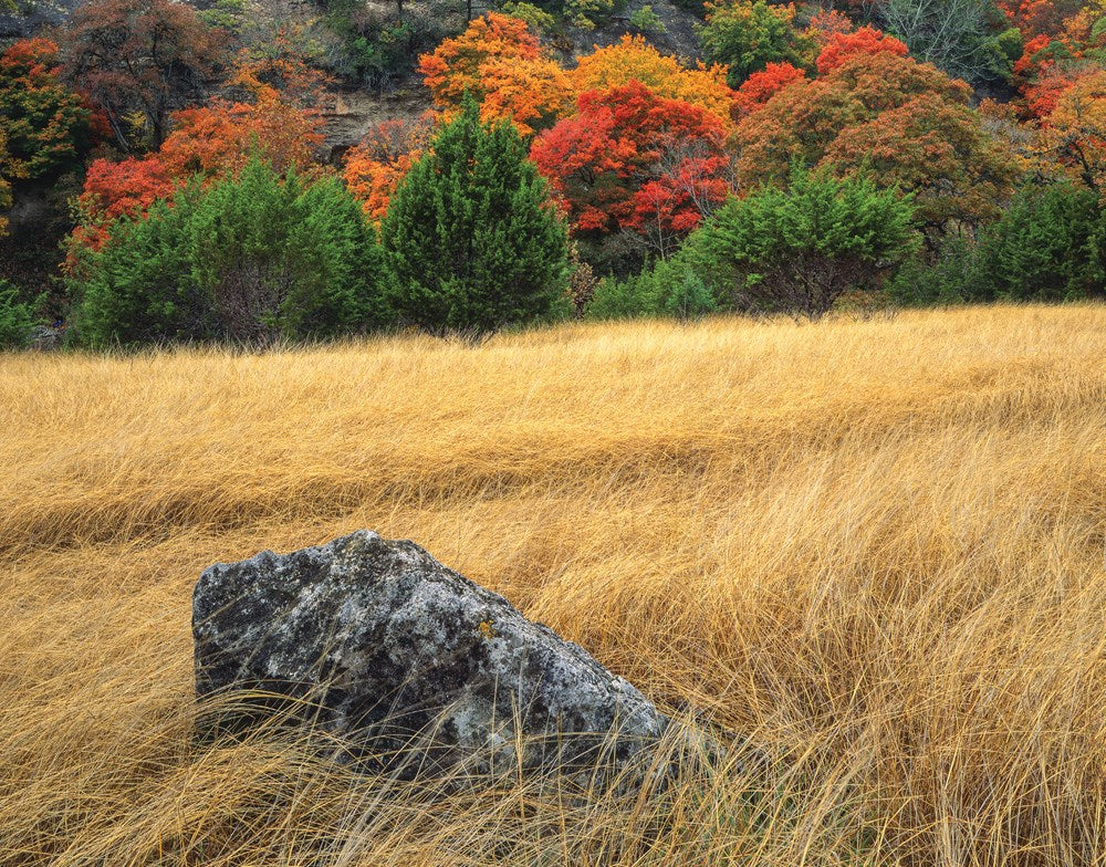 Hiking Texas