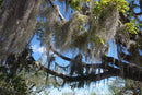 Walks of a Lifetime in America's National Parks