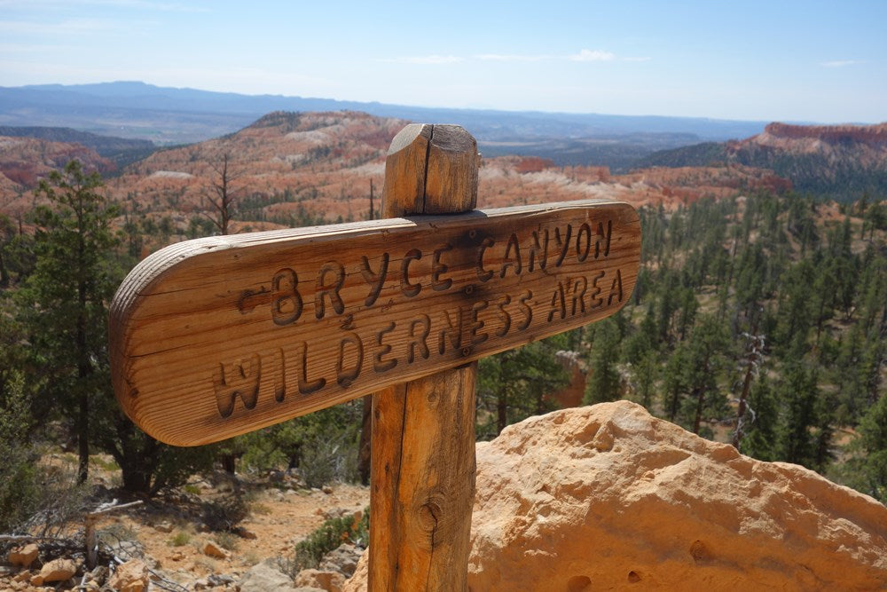 Walks of a Lifetime in America's National Parks