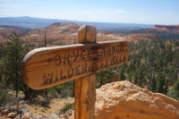 Walks of a Lifetime in America's National Parks