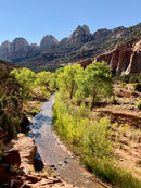 Walks of a Lifetime in America's National Parks
