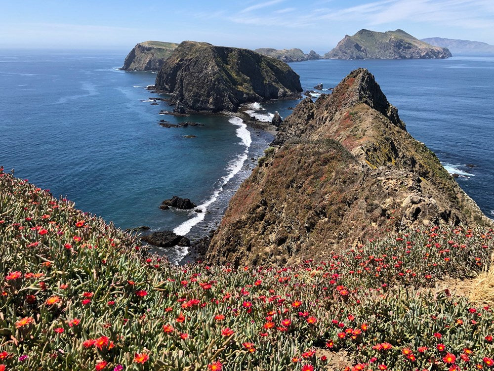Walks of a Lifetime in America's National Parks