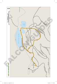 Hiking with Kids Colorado