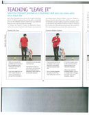 Dog Tricks Even You Can Teach Your Pet