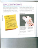 Dog Tricks Even You Can Teach Your Pet