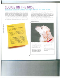 Dog Tricks Even You Can Teach Your Pet