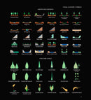 Mosses of the Northern Forest