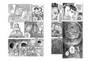 Berserk Deluxe Volume 4