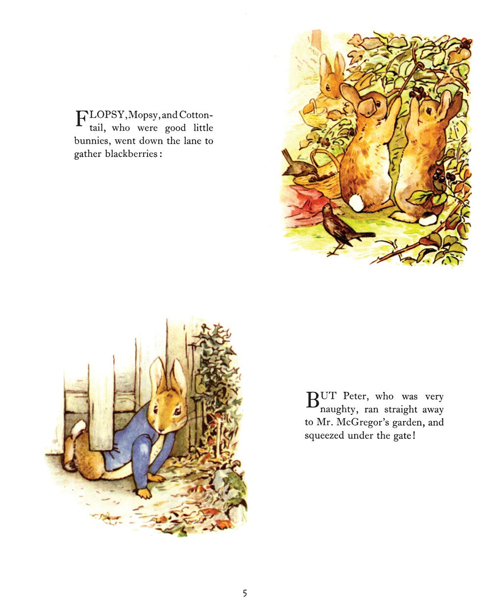 Essential Beatrix Potter Storytime Collection: The Original Classics Featuring Peter Rabbit and His Famous Friends (Children's Classic Collections)