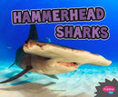 Hammerhead Sharks