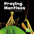 Praying Mantises